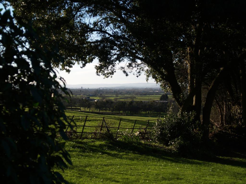 The Mount Somerset Taunton Exterior photo